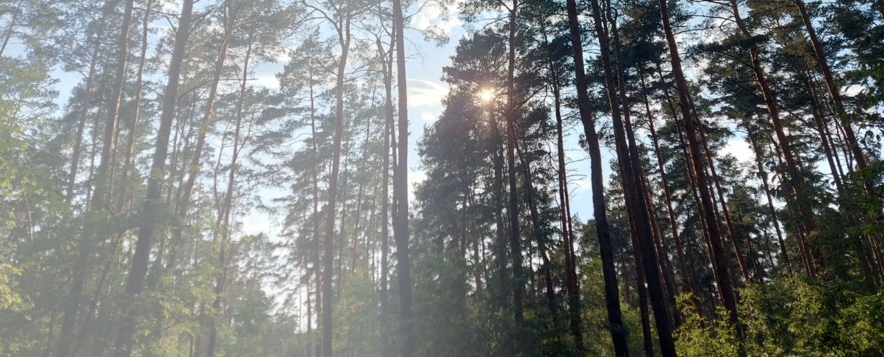 loslassen